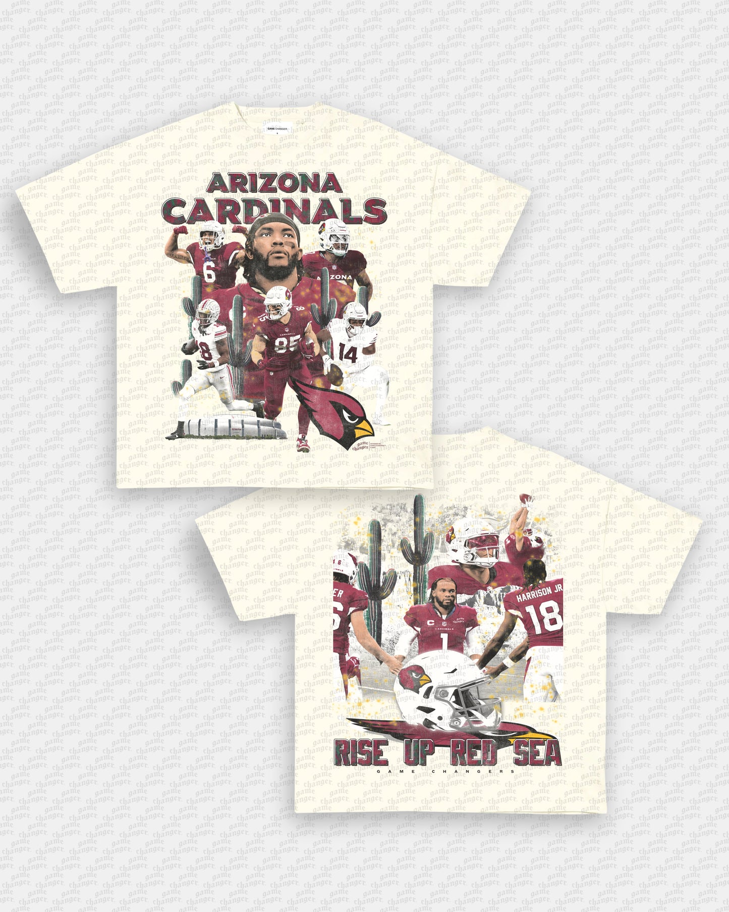 2024 CARDINALS TEE - [DS]