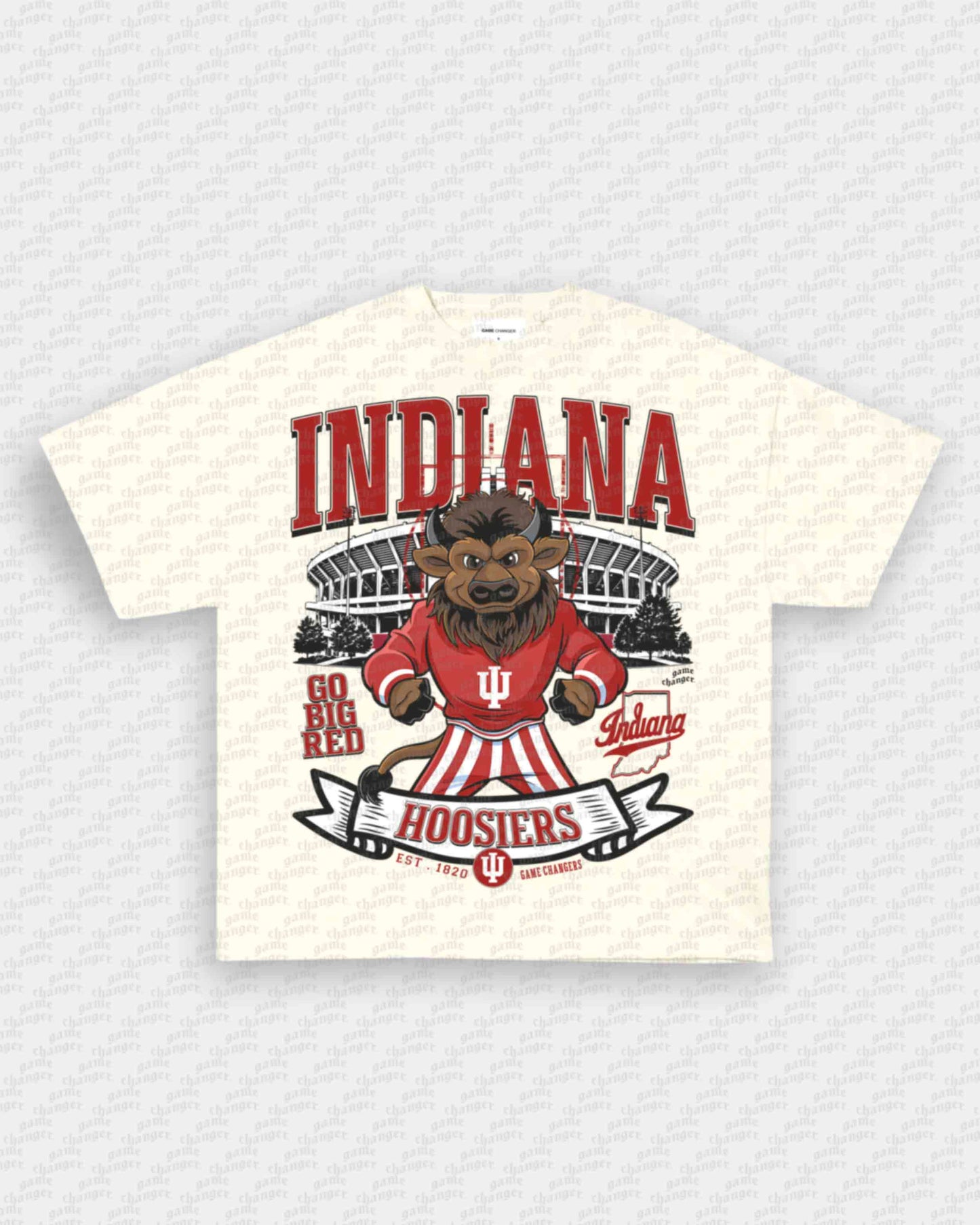INDIANA FOOTBALL TEE