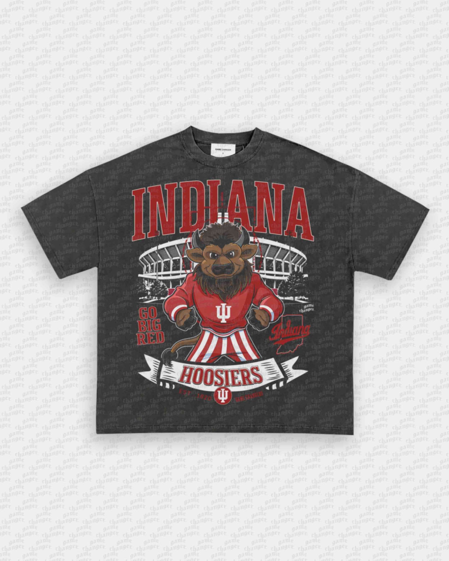 INDIANA FOOTBALL TEE