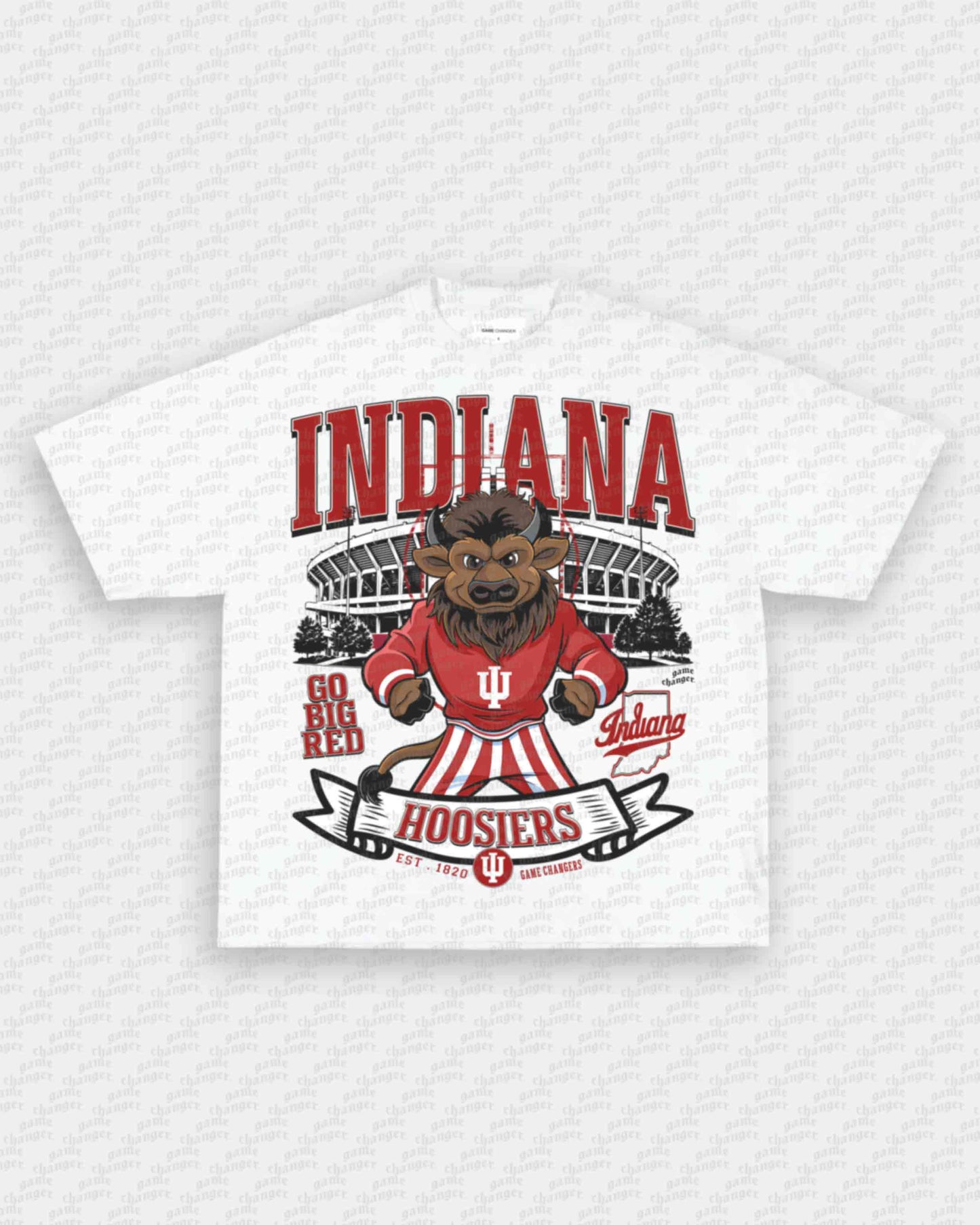 INDIANA FOOTBALL TEE